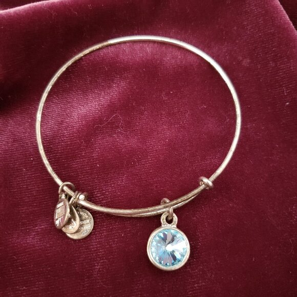 Alex and Ani Jewelry - Alex and Ani Blue Charm Adjustable Bangle Express Yourself LOVE Energy